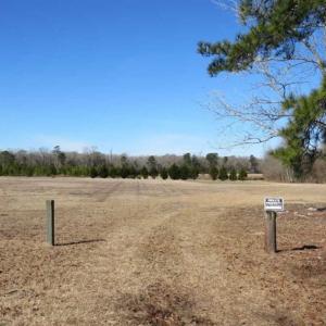 Photo of 110 Acres of Farm and Timber Land For Sale in Columbus County NC!