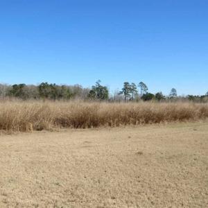 Photo of 110 Acres of Farm and Timber Land For Sale in Columbus County NC!