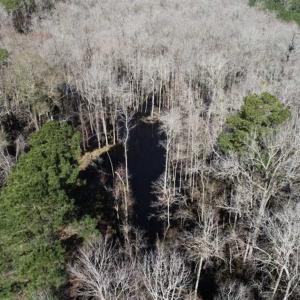 Photo of 110 Acres of Farm and Timber Land For Sale in Columbus County NC!