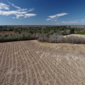 Photo of 110 Acres of Farm and Timber Land For Sale in Columbus County NC!