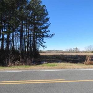 Photo of 110 Acres of Farm and Timber Land For Sale in Columbus County NC!