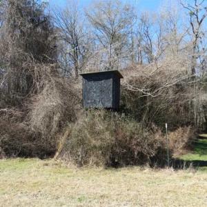 Photo of 110 Acres of Farm and Timber Land For Sale in Columbus County NC!