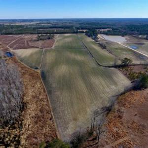 Photo of 201 Acres of Farm and Hunting Land For Sale in Pitt County NC!