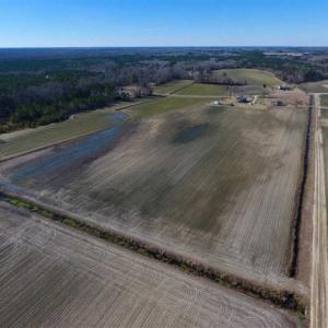 Photo of 201 Acres of Farm and Hunting Land For Sale in Pitt County NC!