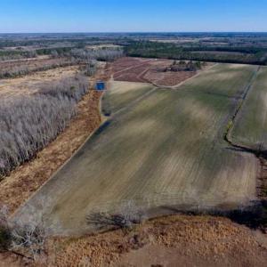 Photo of 201 Acres of Farm and Hunting Land For Sale in Pitt County NC!