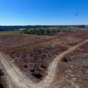 Photo of 201 Acres of Farm and Hunting Land For Sale in Pitt County NC!