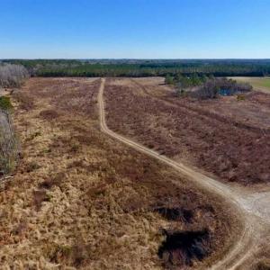 Photo of 201 Acres of Farm and Hunting Land For Sale in Pitt County NC!