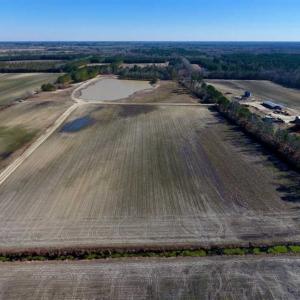 Photo of 201 Acres of Farm and Hunting Land For Sale in Pitt County NC!