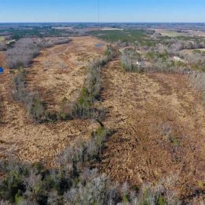 Photo of 201 Acres of Farm and Hunting Land For Sale in Pitt County NC!