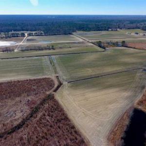 Photo of 201 Acres of Farm and Hunting Land For Sale in Pitt County NC!