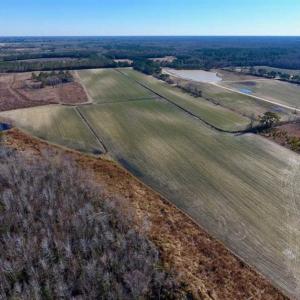 Photo of 201 Acres of Farm and Hunting Land For Sale in Pitt County NC!