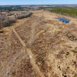 Photo of 201 Acres of Farm and Hunting Land For Sale in Pitt County NC!
