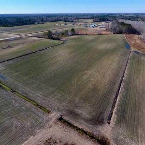 Photo of 201 Acres of Farm and Hunting Land For Sale in Pitt County NC!