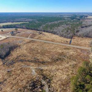 Photo of 201 Acres of Farm and Hunting Land For Sale in Pitt County NC!