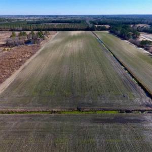 Photo of 201 Acres of Farm and Hunting Land For Sale in Pitt County NC!