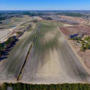 Photo of 201 Acres of Farm and Hunting Land For Sale in Pitt County NC!