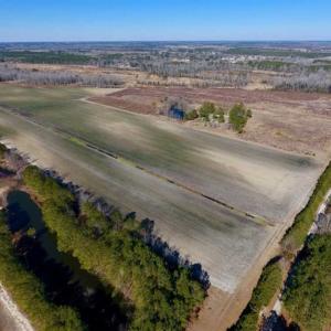 Photo of 201 Acres of Farm and Hunting Land For Sale in Pitt County NC!
