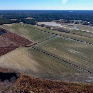 Photo of 201 Acres of Farm and Hunting Land For Sale in Pitt County NC!