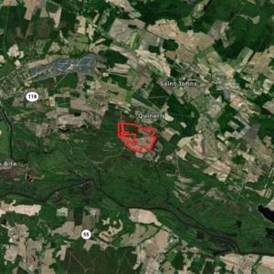 Photo of 201 Acres of Farm and Hunting Land For Sale in Pitt County NC!