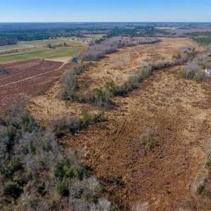 Photo of 201 Acres of Farm and Hunting Land For Sale in Pitt County NC!