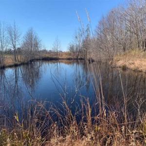 Photo of 201 Acres of Farm and Hunting Land For Sale in Pitt County NC!
