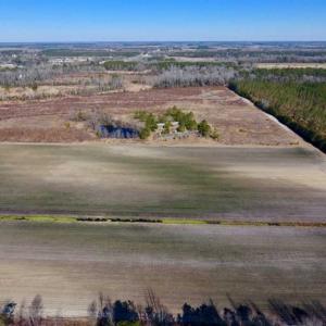 Photo of 201 Acres of Farm and Hunting Land For Sale in Pitt County NC!