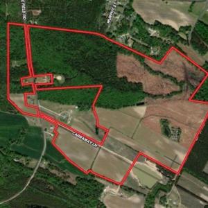 Photo of 201 Acres of Farm and Hunting Land For Sale in Pitt County NC!