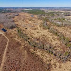 Photo of 201 Acres of Farm and Hunting Land For Sale in Pitt County NC!