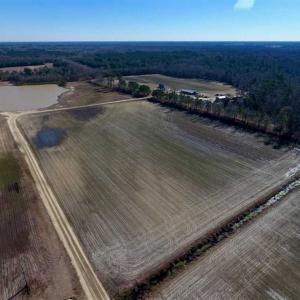 Photo of 201 Acres of Farm and Hunting Land For Sale in Pitt County NC!