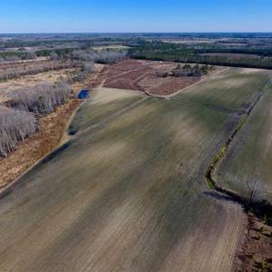 Photo of 201 Acres of Farm and Hunting Land For Sale in Pitt County NC!