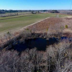 Photo of 201 Acres of Farm and Hunting Land For Sale in Pitt County NC!