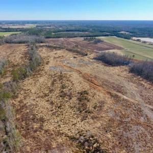 Photo of 201 Acres of Farm and Hunting Land For Sale in Pitt County NC!