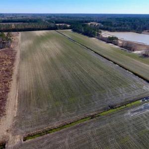 Photo of 201 Acres of Farm and Hunting Land For Sale in Pitt County NC!