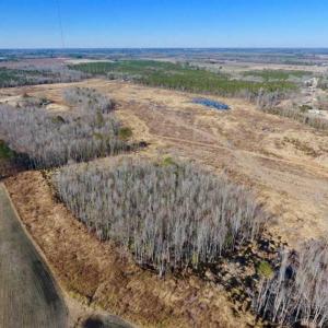 Photo of 201 Acres of Farm and Hunting Land For Sale in Pitt County NC!