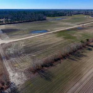 Photo of 201 Acres of Farm and Hunting Land For Sale in Pitt County NC!