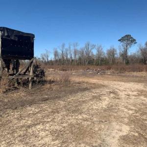 Photo of 201 Acres of Farm and Hunting Land For Sale in Pitt County NC!