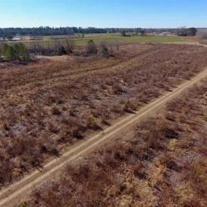 Photo of 201 Acres of Farm and Hunting Land For Sale in Pitt County NC!