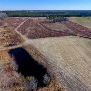 Photo of 201 Acres of Farm and Hunting Land For Sale in Pitt County NC!