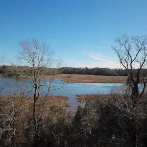 Photo of 47 Acres on Deep Water Tidal Waters in Isle of Wight County Virginia!