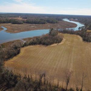 Photo of 47 Acres on Deep Water Tidal Waters in Isle of Wight County Virginia!