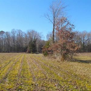 Photo of 47 Acres on Deep Water Tidal Waters in Isle of Wight County Virginia!