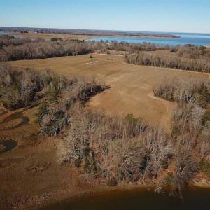 Photo of 47 Acres on Deep Water Tidal Waters in Isle of Wight County Virginia!