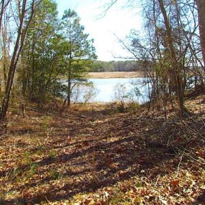 Photo of 47 Acres on Deep Water Tidal Waters in Isle of Wight County Virginia!