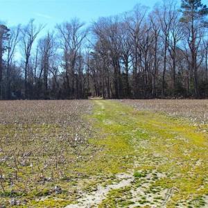 Photo of 47 Acres on Deep Water Tidal Waters in Isle of Wight County Virginia!