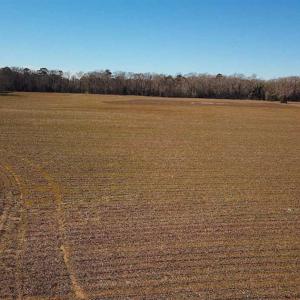 Photo of 47 Acres on Deep Water Tidal Waters in Isle of Wight County Virginia!