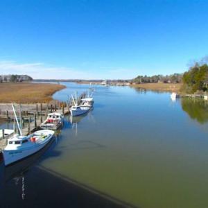 Photo of 47 Acres on Deep Water Tidal Waters in Isle of Wight County Virginia!
