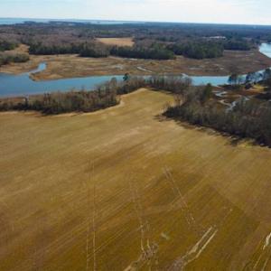 Photo of 47 Acres on Deep Water Tidal Waters in Isle of Wight County Virginia!