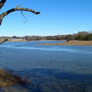 Photo of 47 Acres on Deep Water Tidal Waters in Isle of Wight County Virginia!
