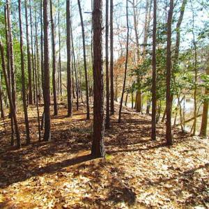 Photo of 47 Acres on Deep Water Tidal Waters in Isle of Wight County Virginia!