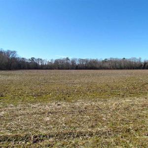 Photo of 47 Acres on Deep Water Tidal Waters in Isle of Wight County Virginia!